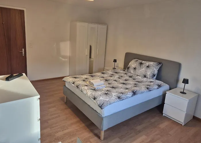 Swissrest - Self Check-in דירה